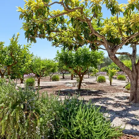 Masseria Limbitello 托里德欧索
